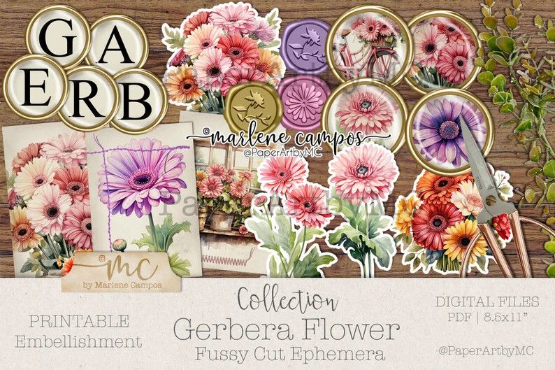 Gerbera Daisy Fussy‑Cut Ephemera Kit